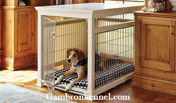 انواع قفس و باکس مناسب برای سگ