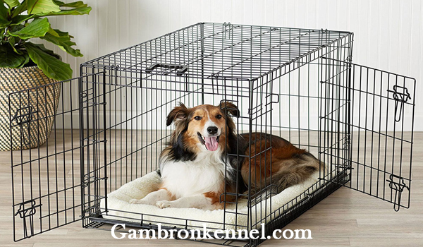 قفس و باکس مناسب سگ