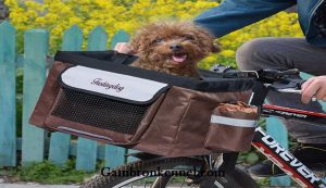 باکس سگ برای دوچرخه
