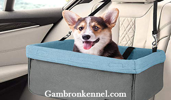 ضرورت استفاده از باکس حیوانات خانگی هنگام سفر با خودرو